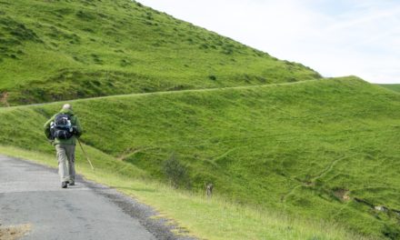 To go on pilgrimage alone