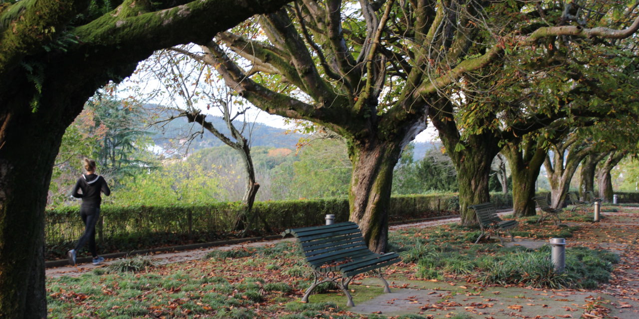 Santiago: The park of La Alameda