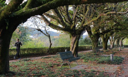 Santiago: The park of La Alameda