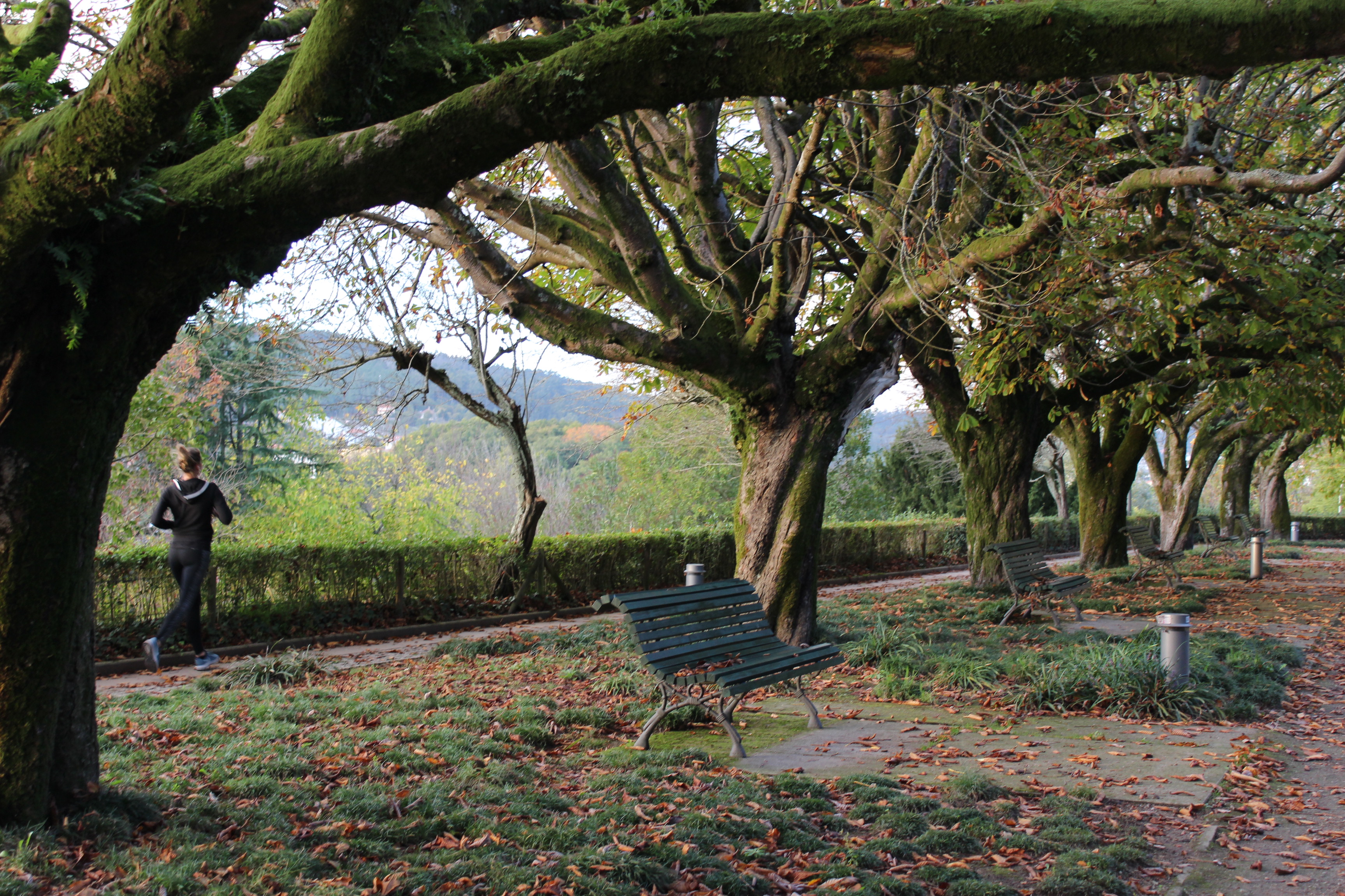 Santiago: The park of La Alameda