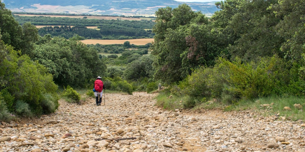 El Camino Norte: Un poco de historia