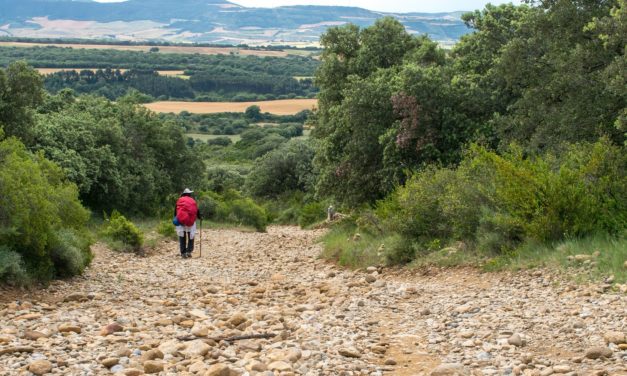 El Camino Norte: Un poco de historia