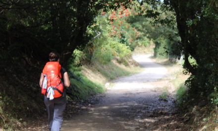 CAMINO 2019: The main start points where Sarria, Saint-Jean-Pied-de-Port, Oporto…