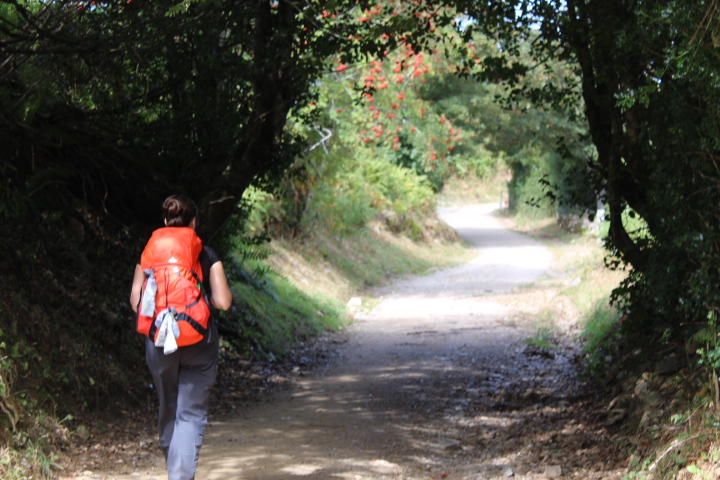 CAMINO 2019: The main start points where Sarria, Saint-Jean-Pied-de-Port, Oporto…