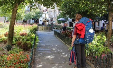 Camino 2018: The most frequented routes were the French Way, the Portuguese Way and the Northern Way…