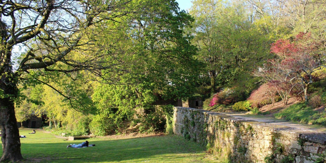 El parque de San Domingos de Bonaval