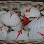 The shell: the emblem of the pilgrimage to Santiago