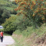 Párate y quédate en casa lo necesario… Pero no olvides el Camino! No olvides tus sueños!