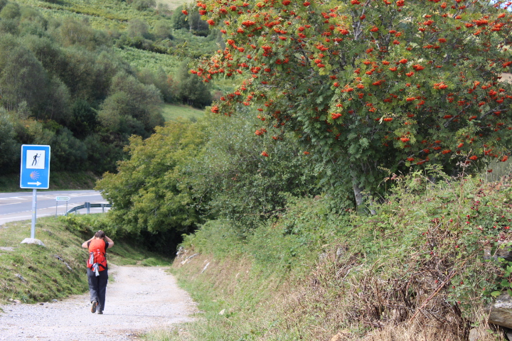 Just stop and stay at home for the necessary time… But don’t forget the Camino! Don’t forget your dreams!