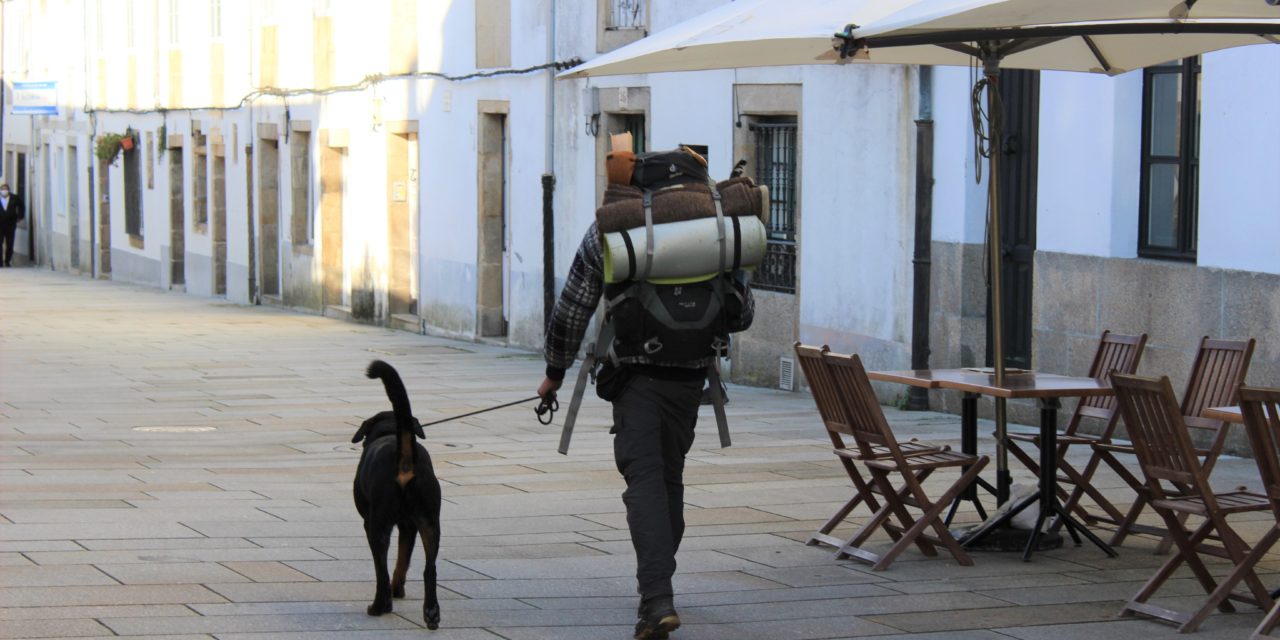 Milagroso Camino: Casi 600 peregrinos cogieron la Compostela en noviembre y la mayoría extranjeros!