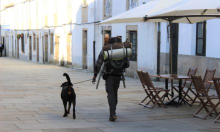 Milagroso Camino: Casi 600 peregrinos cogieron la Compostela en noviembre y la mayoría extranjeros!