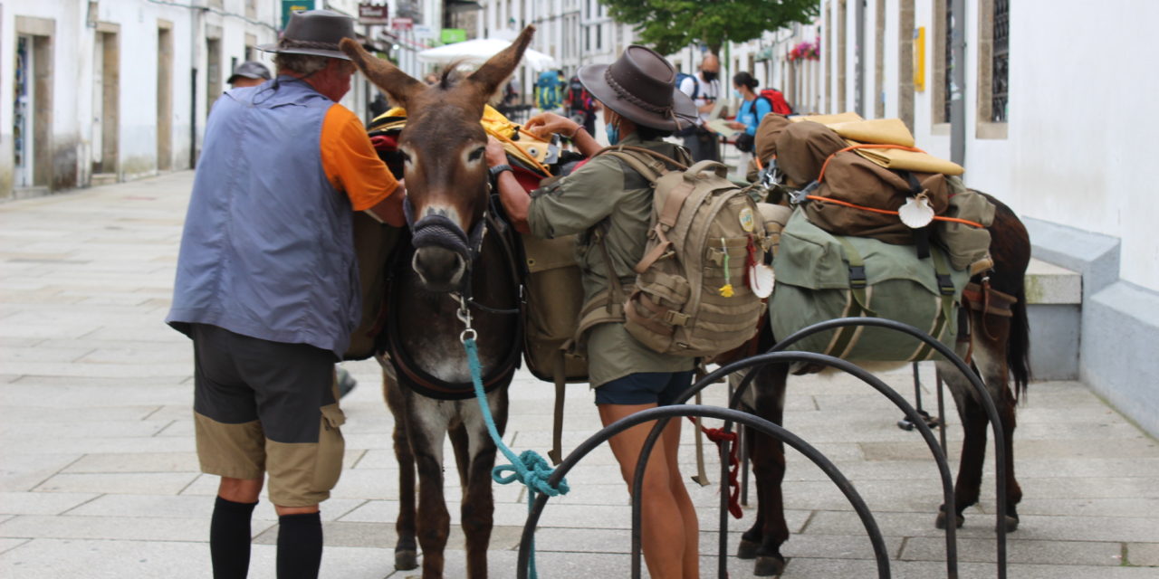 The week of the Apostle the city of Santiago is full of pilgrims! All kinds of pilgrims!