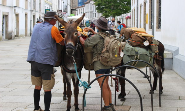 The week of the Apostle the city of Santiago is full of pilgrims! All kinds of pilgrims!