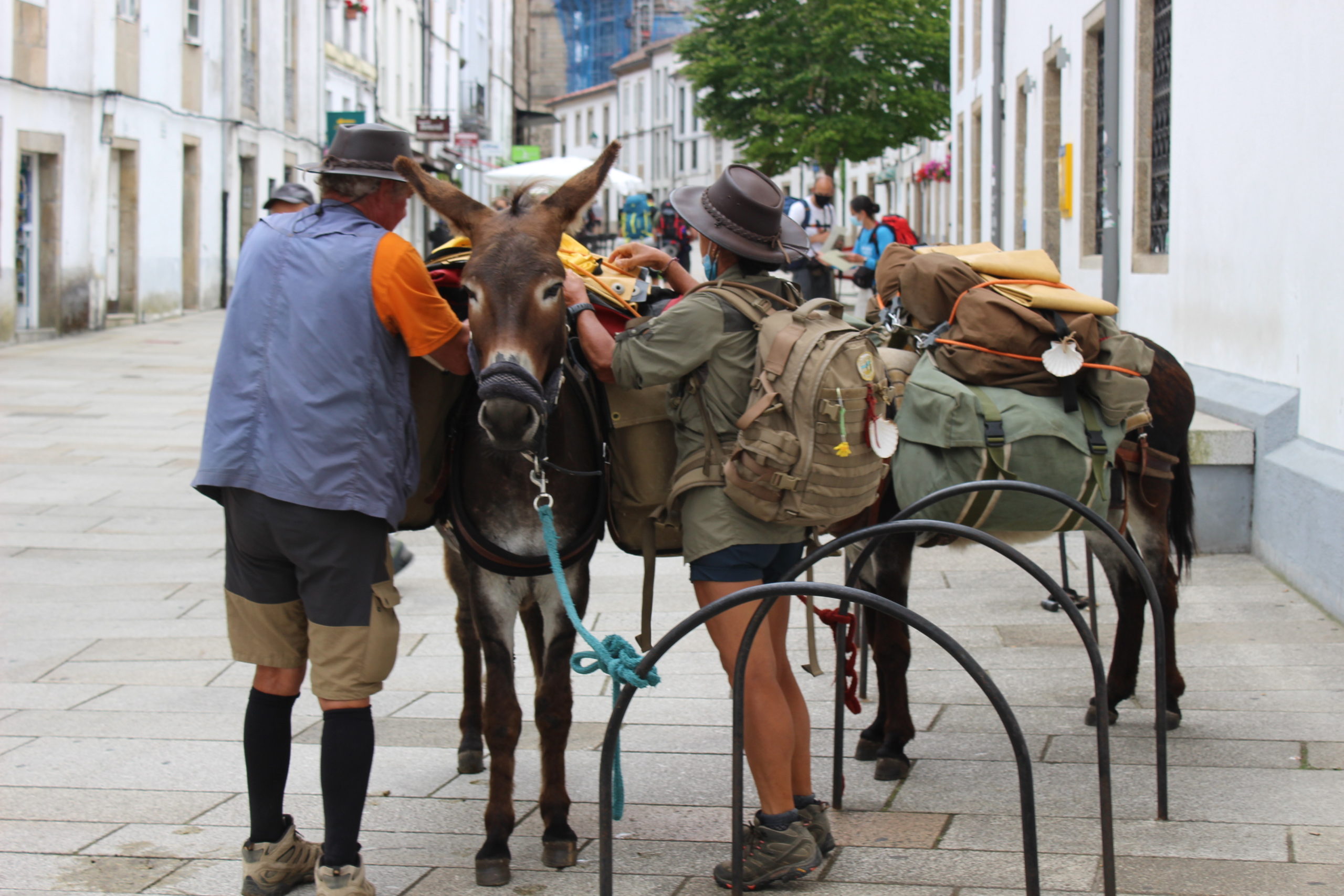 The week of the Apostle the city of Santiago is full of pilgrims! All kinds of pilgrims!