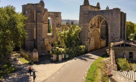 A miracle of the Camino: The Hospital de San Antón and its Foundation