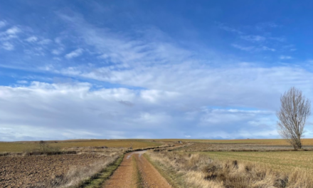 ¿Por qué aumentan tanto los peregrinos de Estados Unidos?: Anne Born reflexiona sobre el éxito del Camino entre sus compatriotas